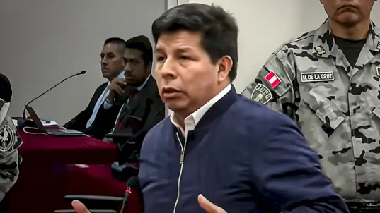 La omisión de información no configura el delito de falsa declaración en procedimiento administrativo (Exp. N.º 07423-2023-3-1826-JR-PE-25)