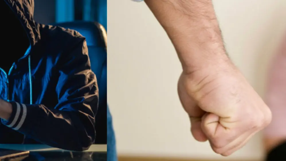 Modificaciones a las leyes N.º 30096 y N.º 30364